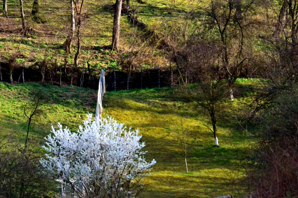 Spring 2014
