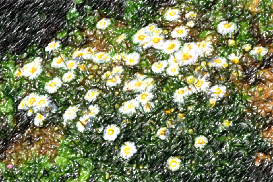 flowers (79)-crayon