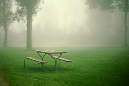 Creepy Picnic Bench