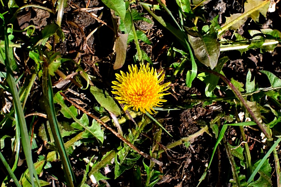 Photography