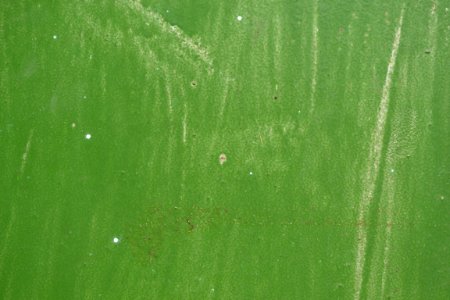 Green paint