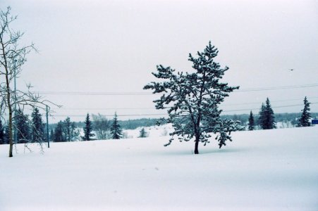 Snowy Landscape 2 photo