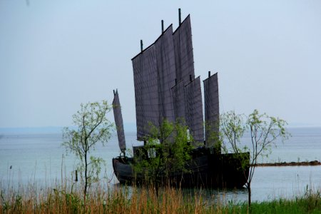 蘇州 太湖濕地公園(夏) The taihu lake wetland park 20150509 4