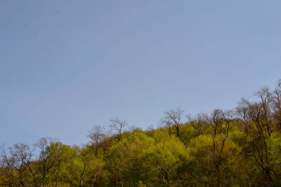 Landscape with nature