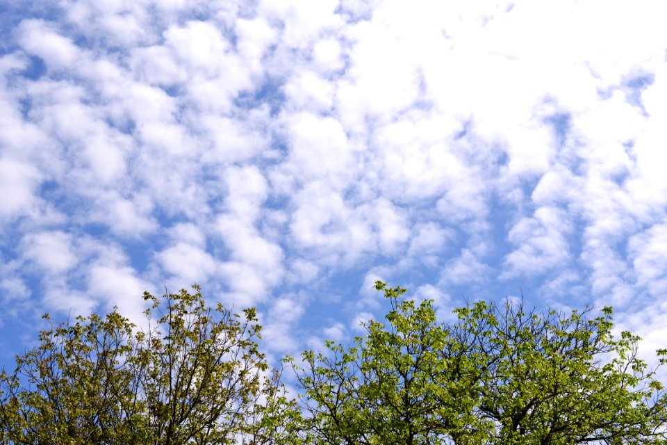 Beautiful sky