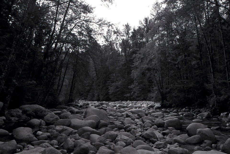 Lynn Canyon river 3 photo