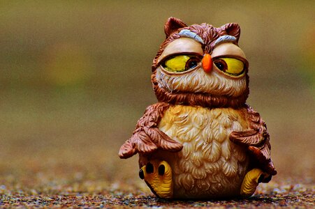 Sweet cute bird