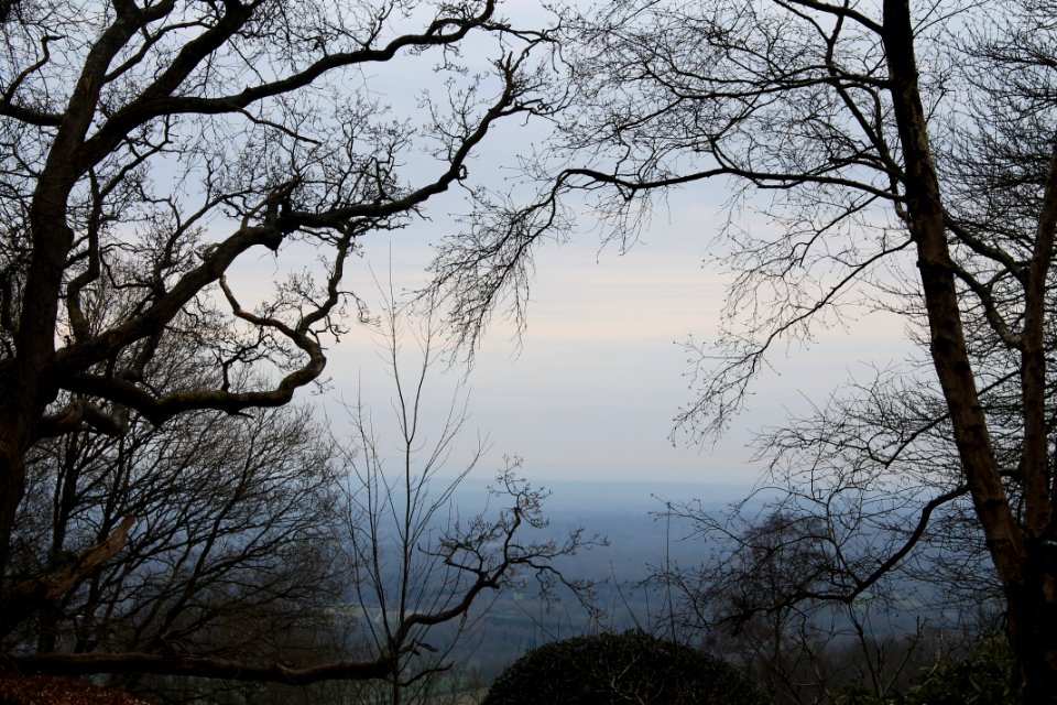 Leith-Hill-april-2016