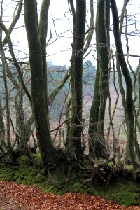 Leith-Hill-april-2016