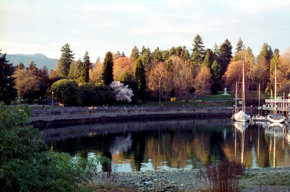 Stanley Park Seawall