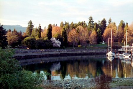 Stanley Park Seawall