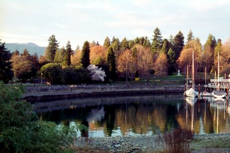 Stanley Park Seawall photo