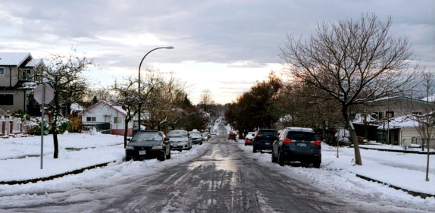 Snowy Street 1 photo