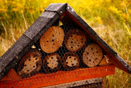 Honeycomb vegetable garden timber photo