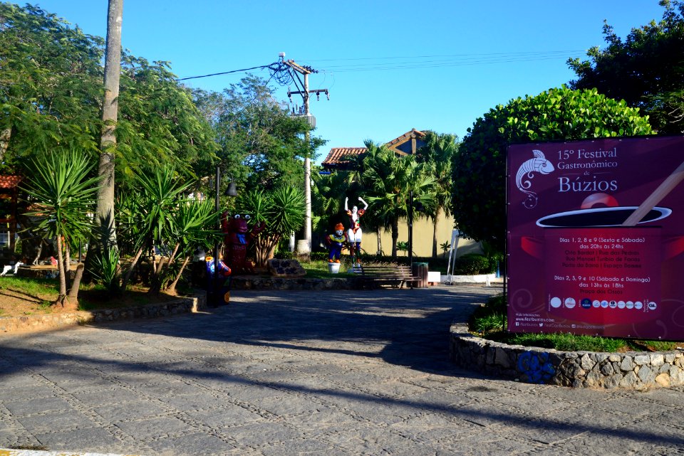  DSC3020
