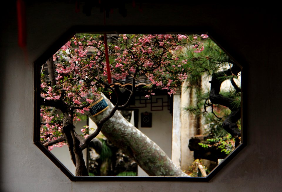 蘇州 網師園(春) The Master-of-Nets Garden, Suzhou China 20150406 30 photo