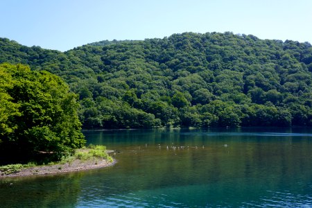 中島 / Nakajima Islands