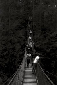 Lynn Canyon Suspension Bridge 1 photo