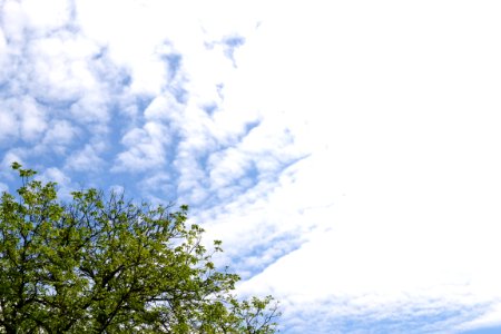 Beautiful sky