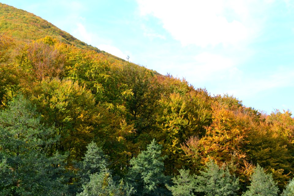 Nature
