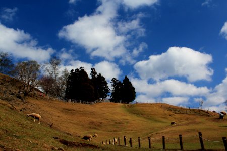 2015 春節旅遊 20150224 220