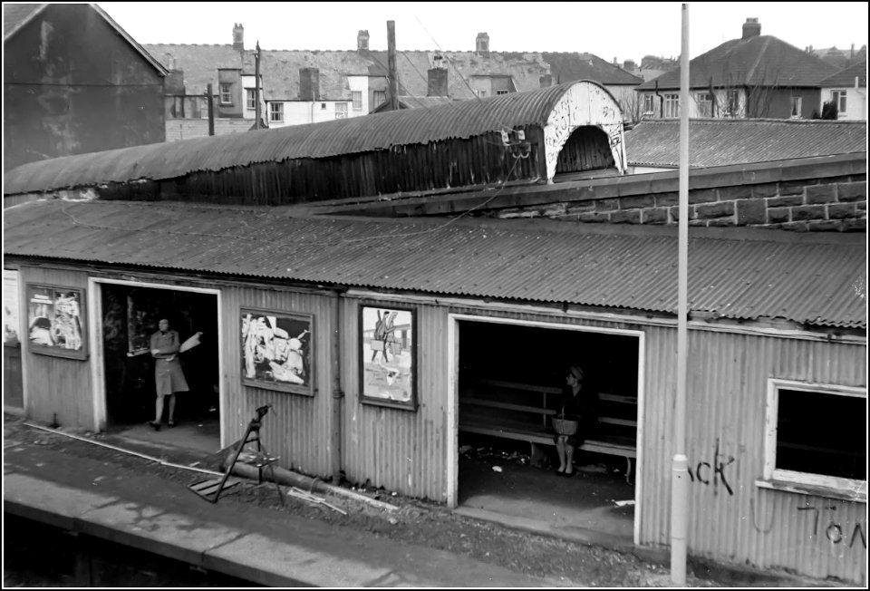 Dingle Road shelter