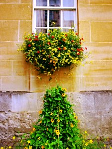 Window in Oxford photo