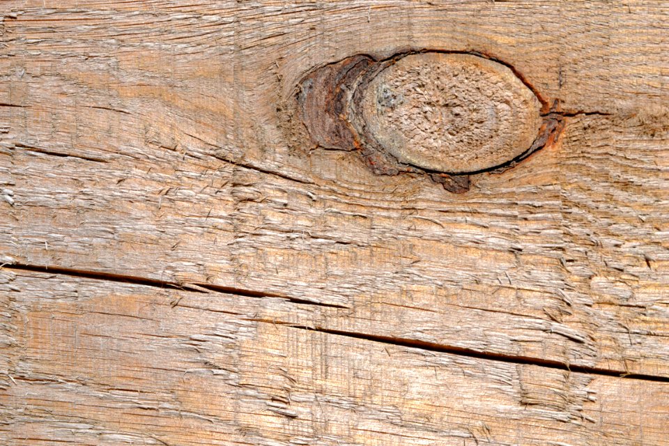 knot