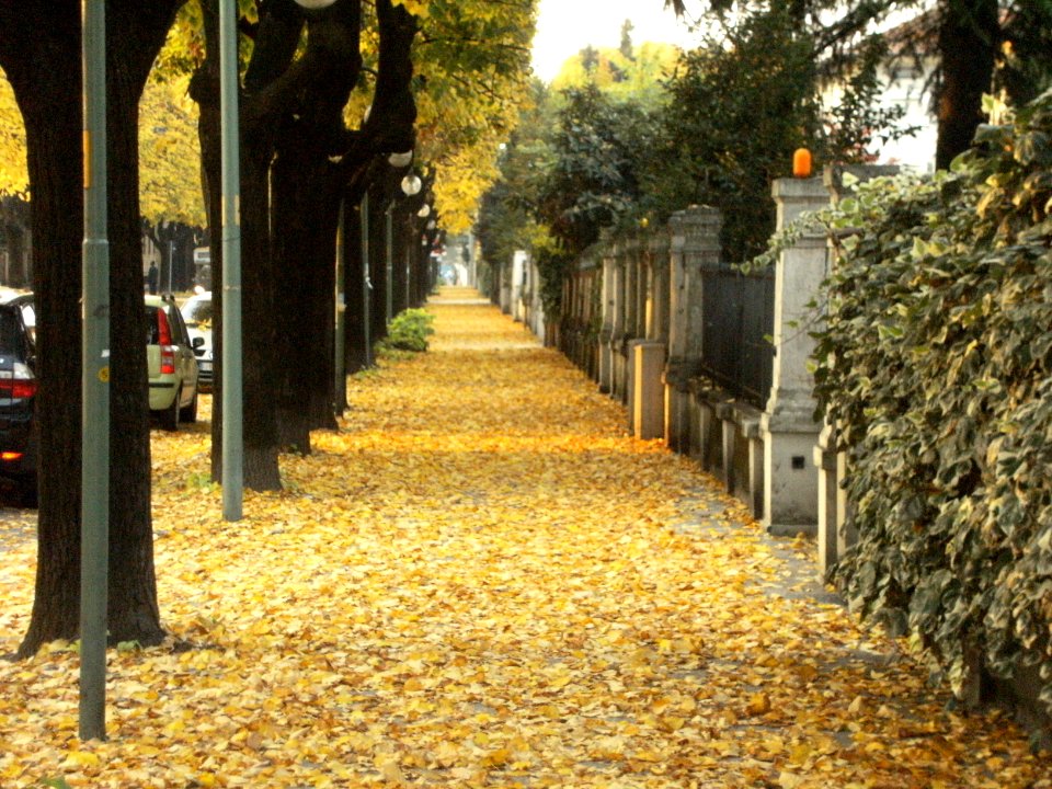autunno a Brescia