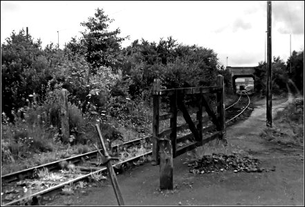 Tynant mine line photo