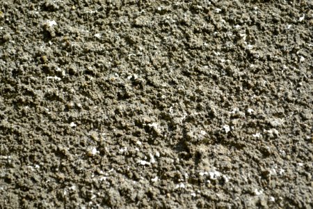 plaster