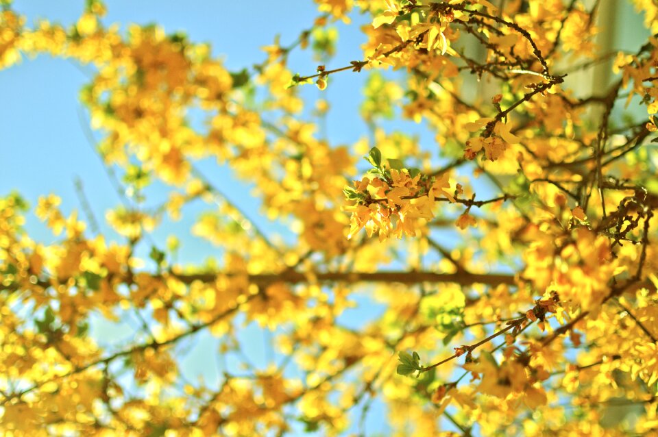 Season bright outdoor