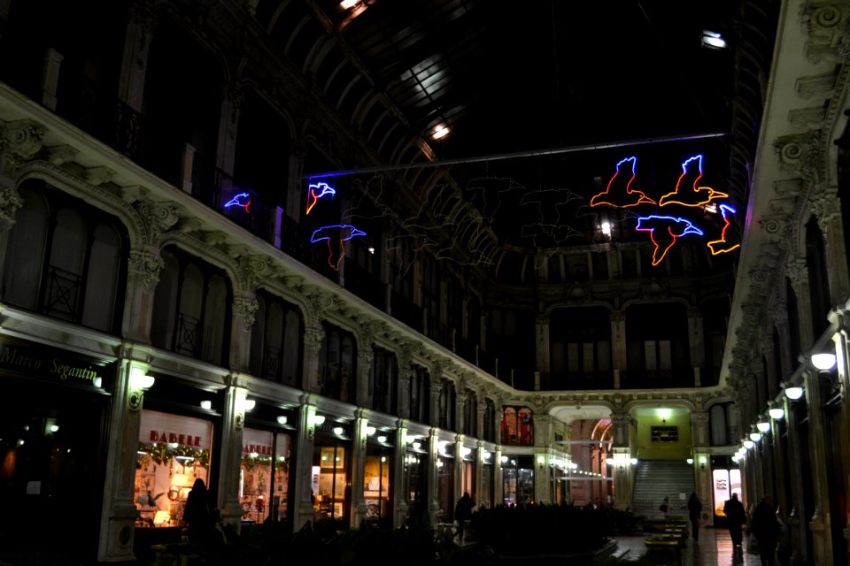 torino un giro in centro