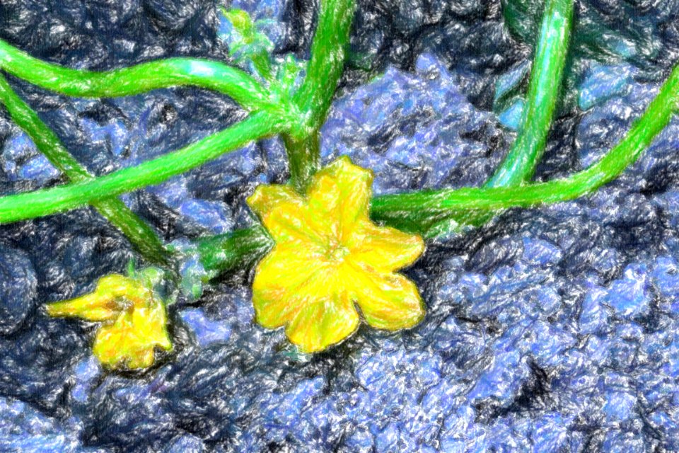 DSC 0127 wax crayon