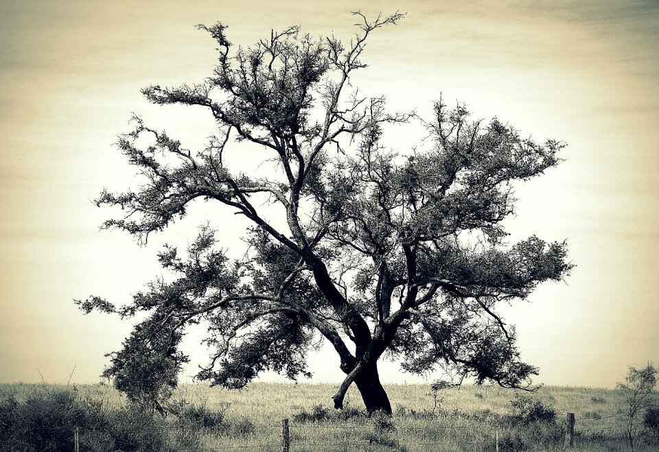 Nature old landscape