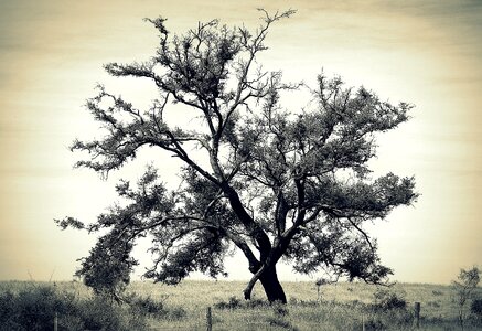 Nature old landscape