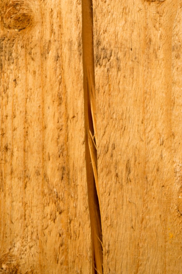 Cracked wood photo