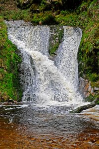 Nature wild water