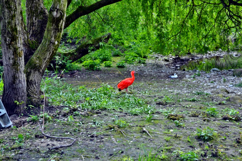 tierpark