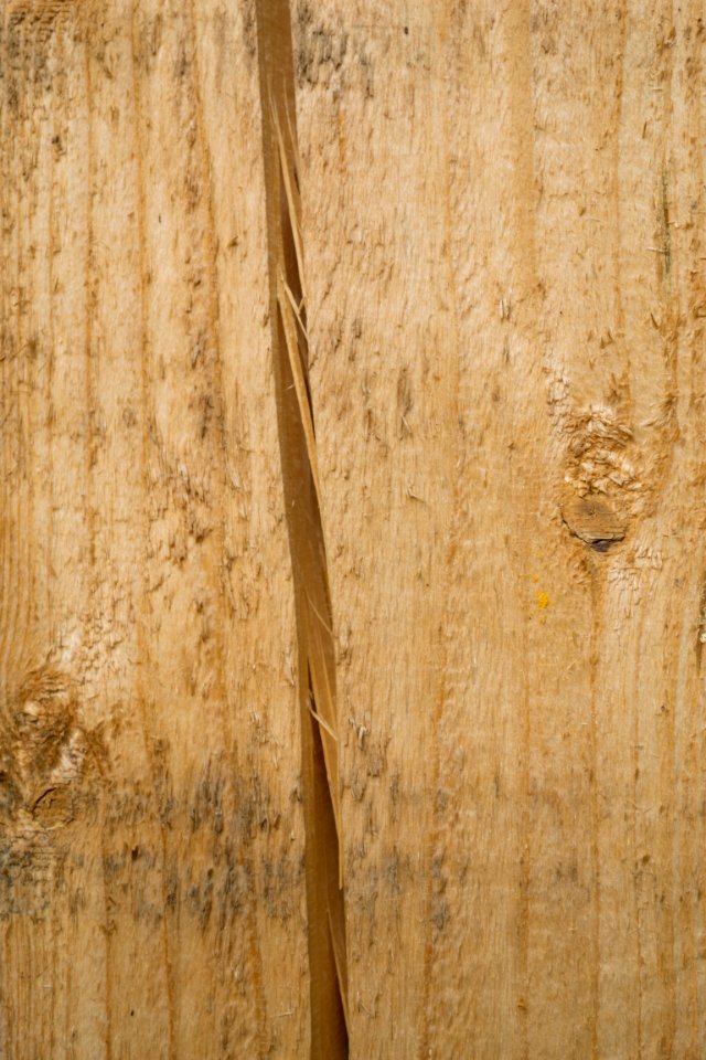 Cracked wood photo