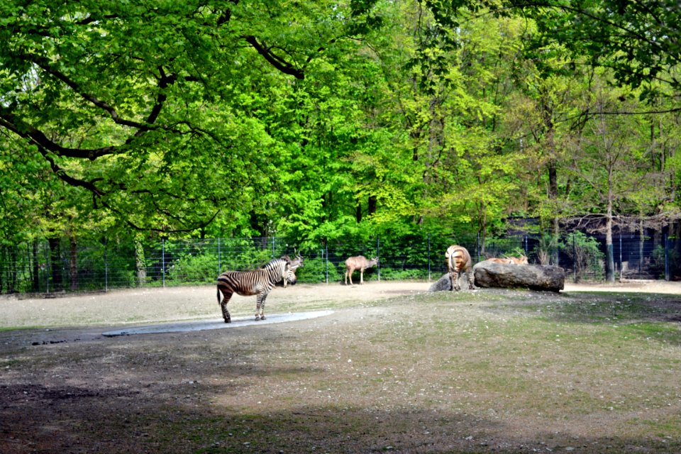 tierpark