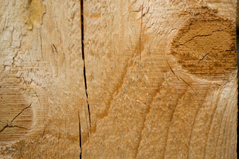 Cracked wood photo