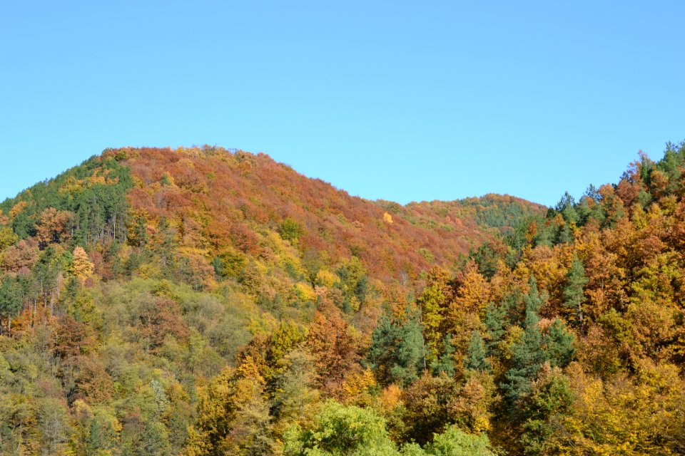autumnal