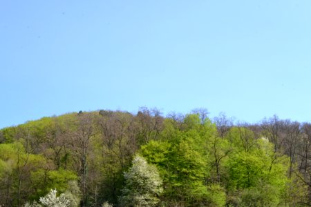 Landscape with nature