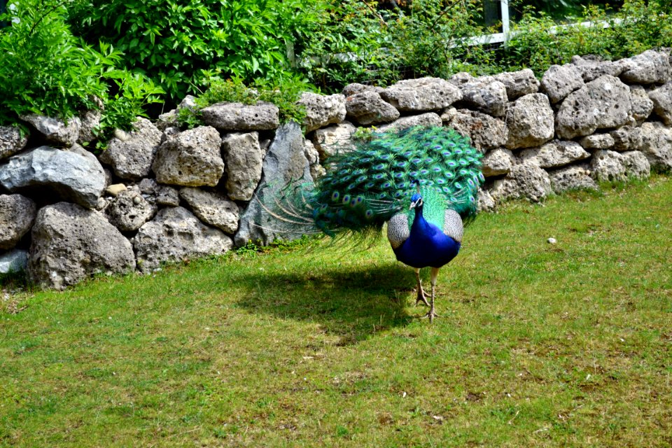 tierpark