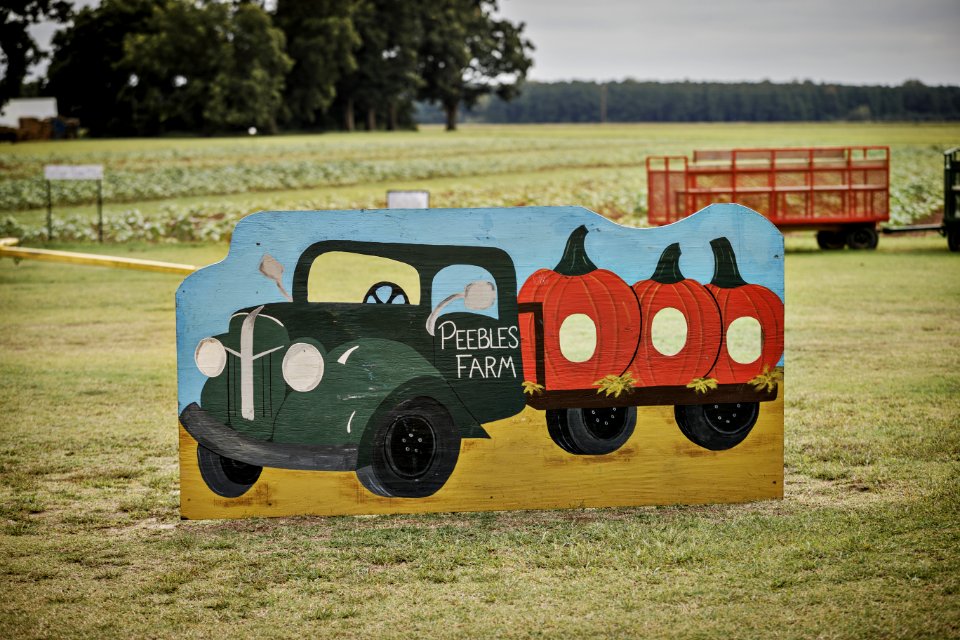 20200925-FPAC-PeeblesFarm-025