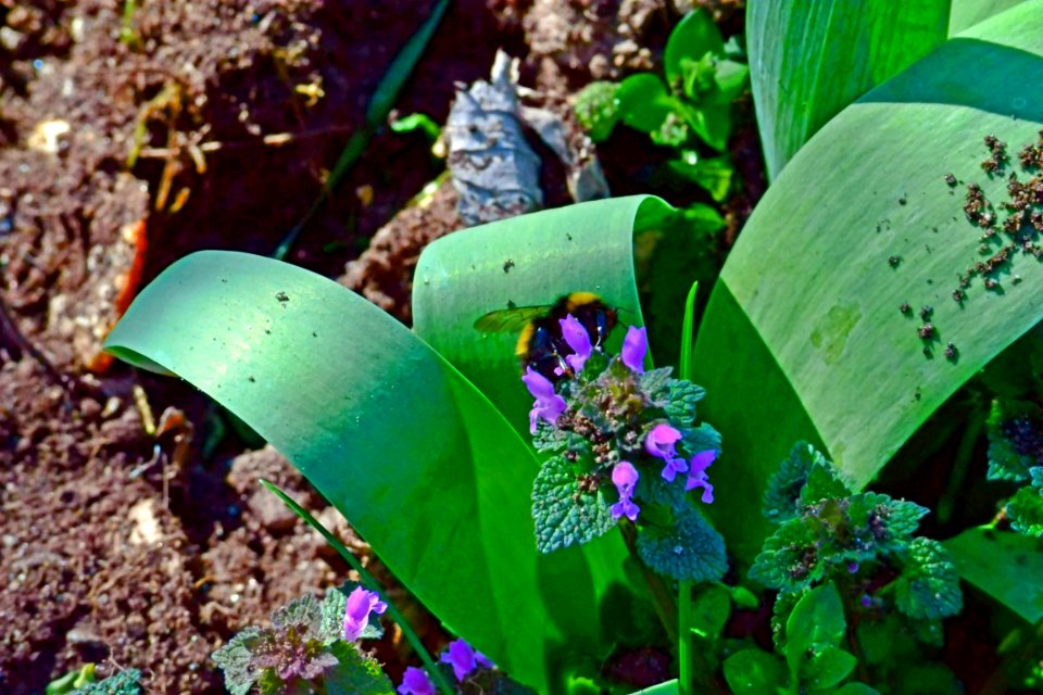 Spring 2014