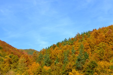 autumn photo