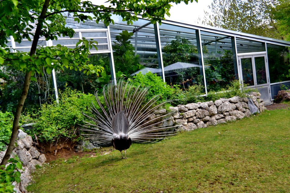 tierpark