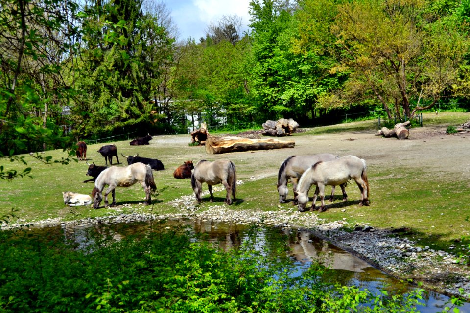 tierpark